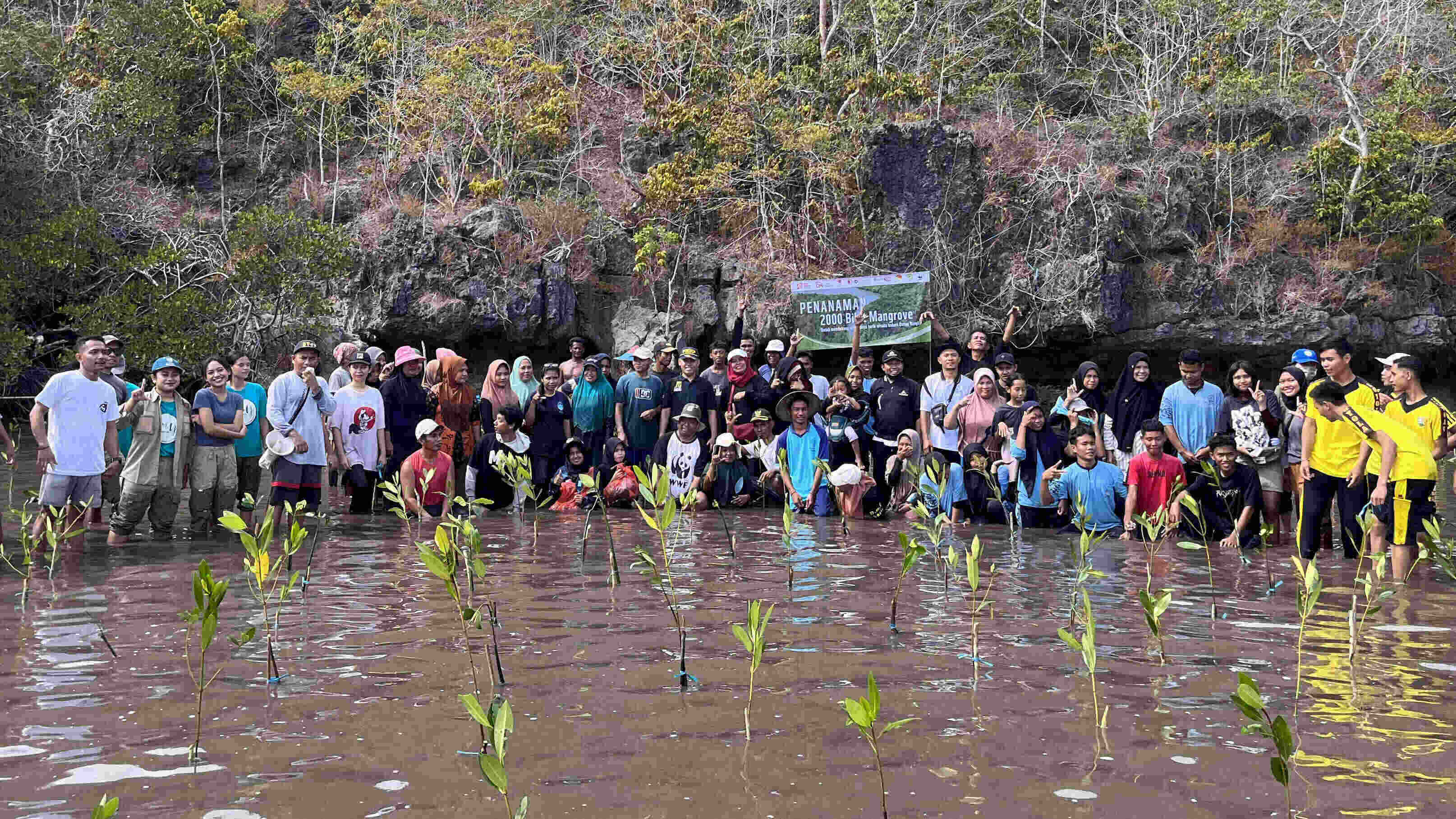 1000 MANGROVE: LANGKAH NYATA UNTUK MELESTARIKAN EKOSISTEM